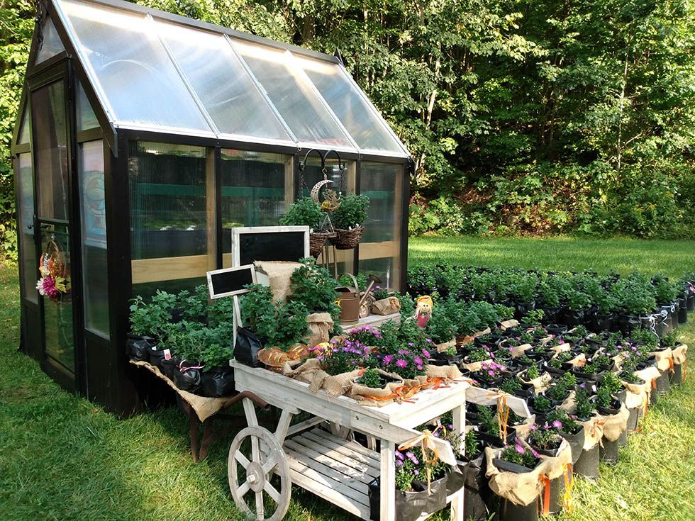 A Frame Greenhouse in with plants