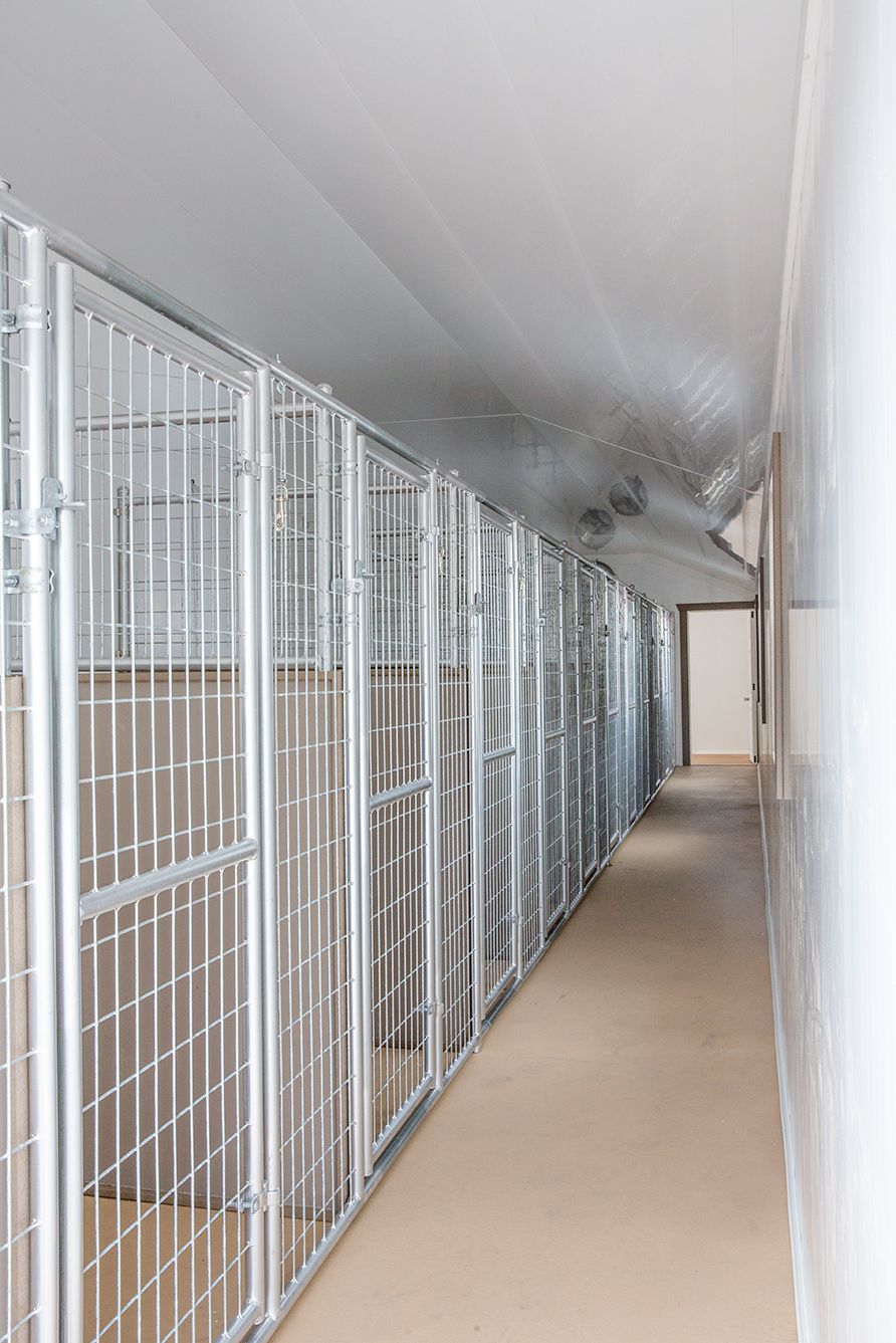 14x54 Commercial Kennel
