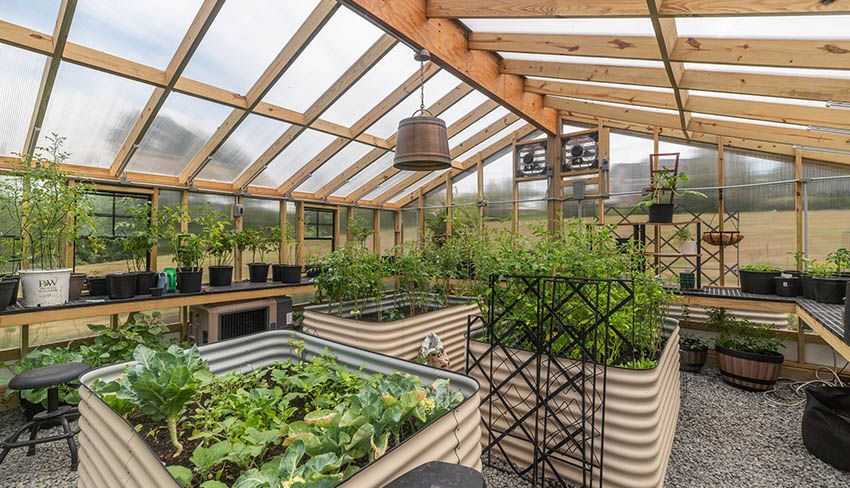Double Wide Greenhouse Interior