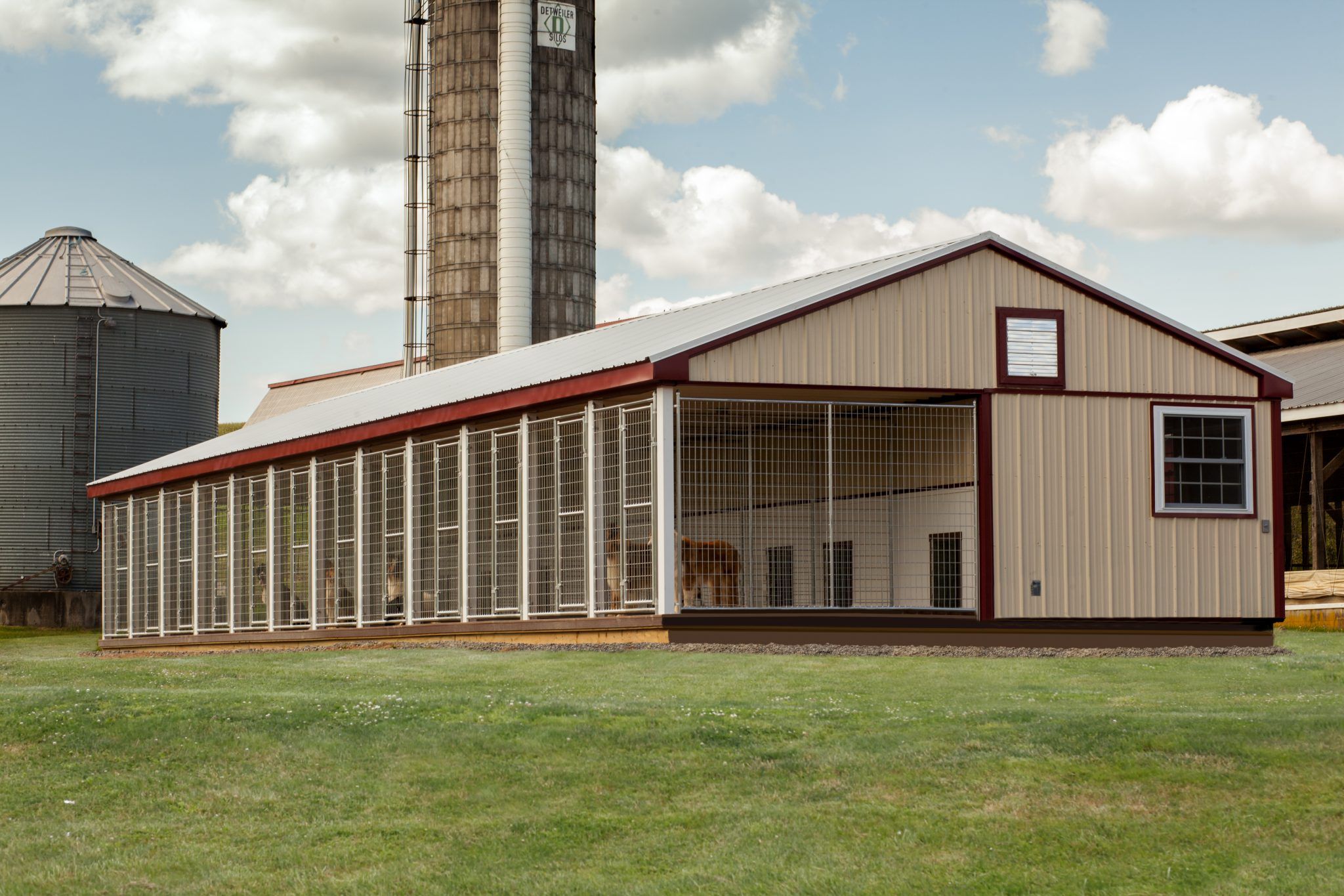 20x60 Commercial Kennel