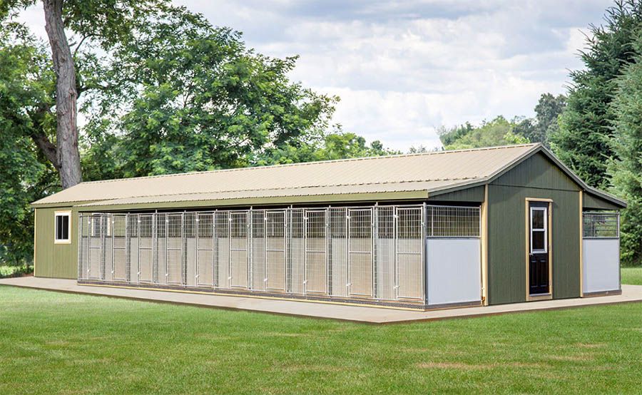 Commercial Dog Kennel