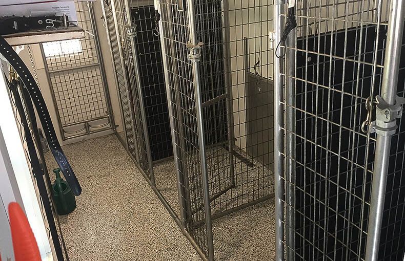 Kennel Interior