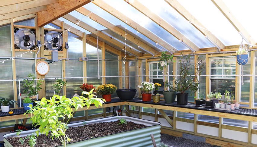 Double Wide Greenhouse Interior