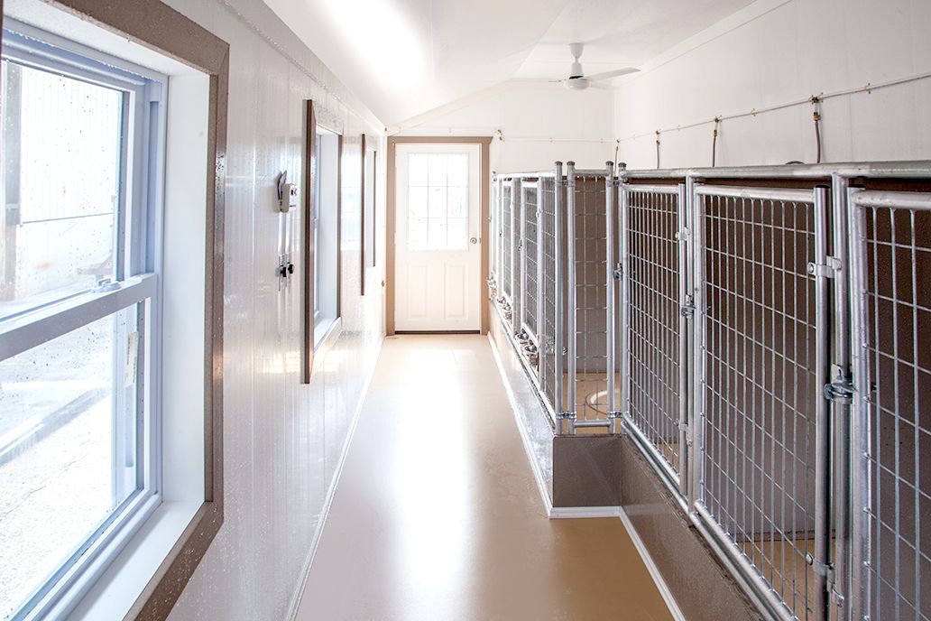 14x24 Commercial Kennel Interior