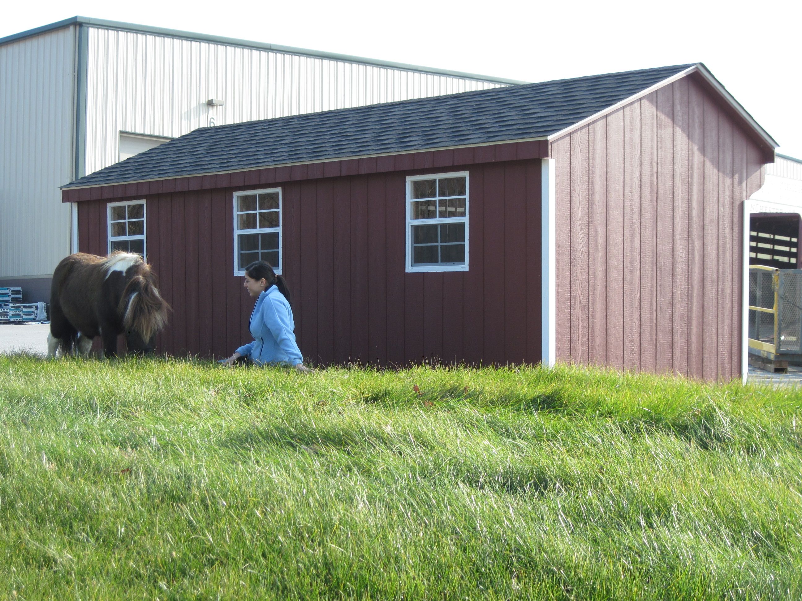 Miniature Horse Barn