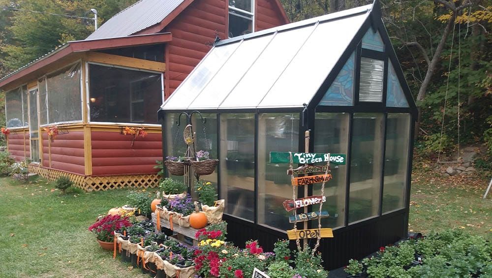 A Frame Greenhouse in Black