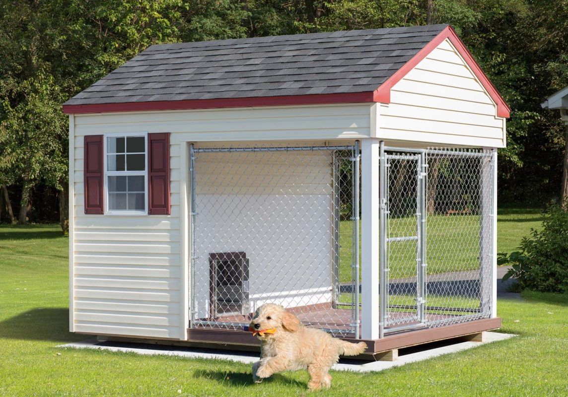 8x10 Kennel