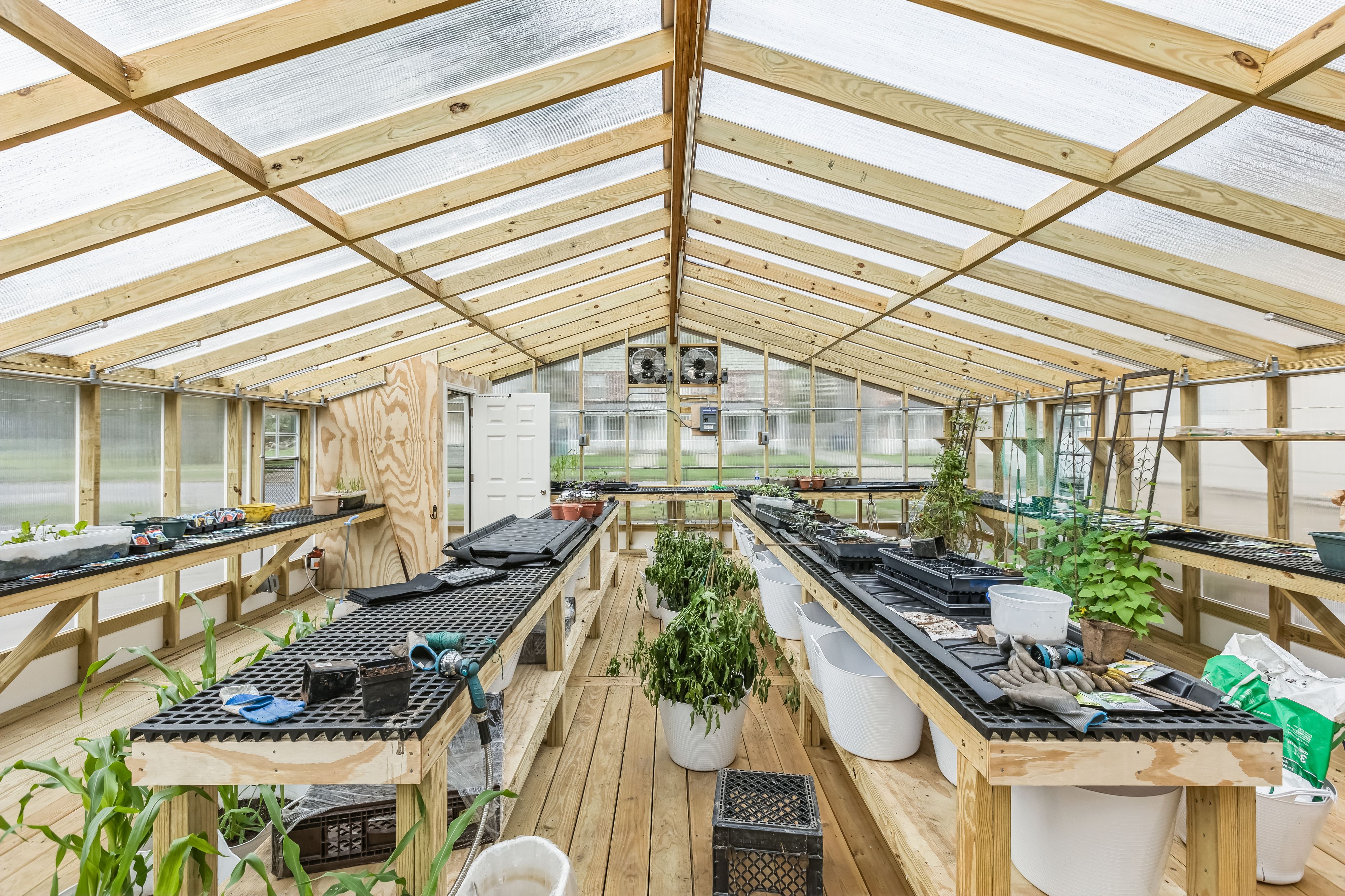 Double Wide Greenhouse Interior