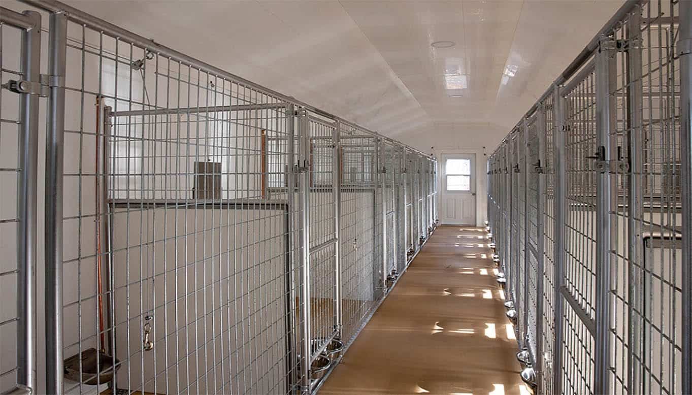Interior of Commercial Dog Kennel