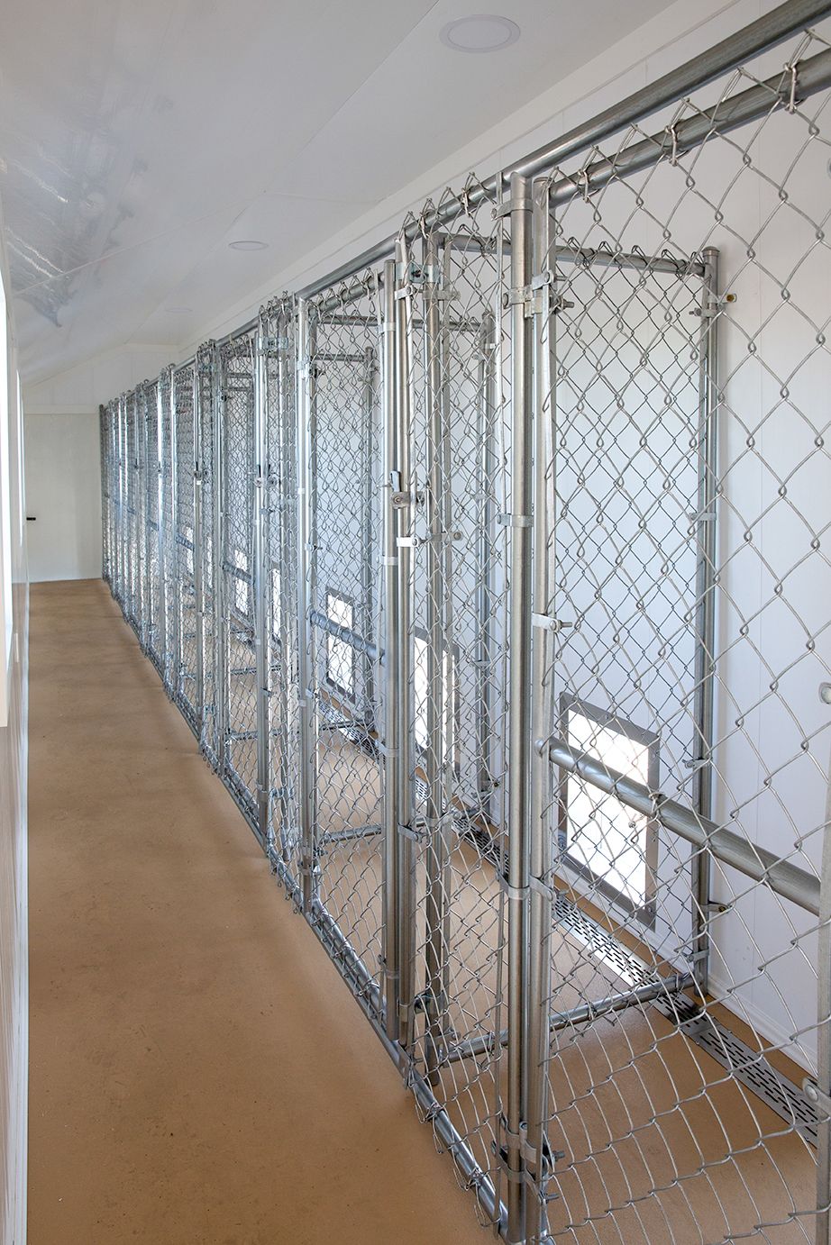 12x42 Commercial Kennel Interior