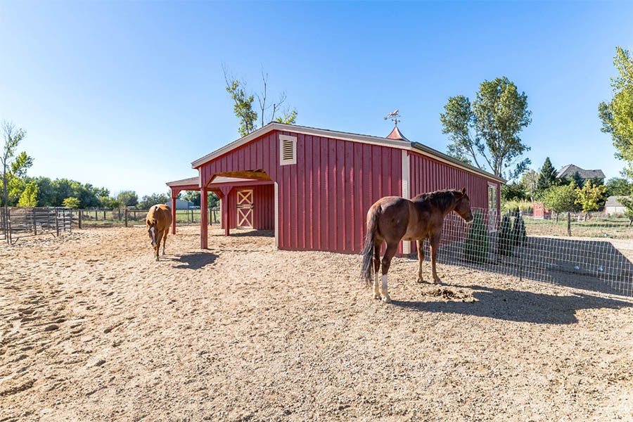 Horses Outside of Barn