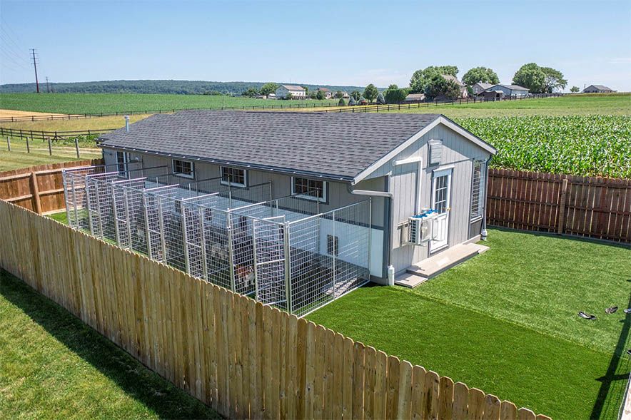 Fenced in Dog Kennel