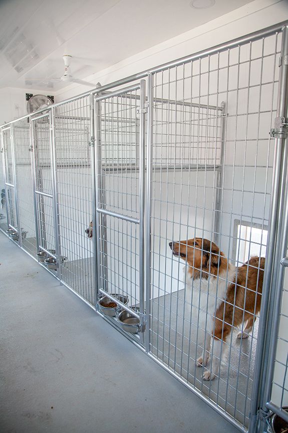 20x60 Commercial Kennel Interior