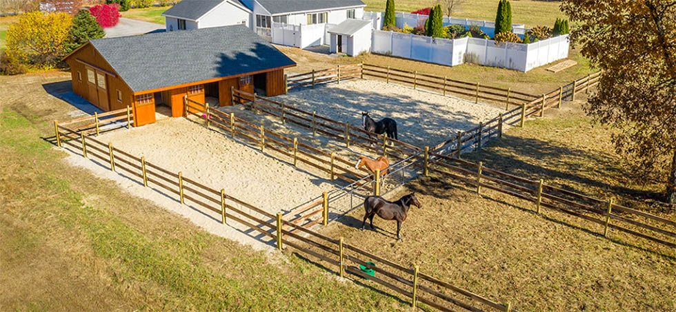 Horses with Freedom of Movement