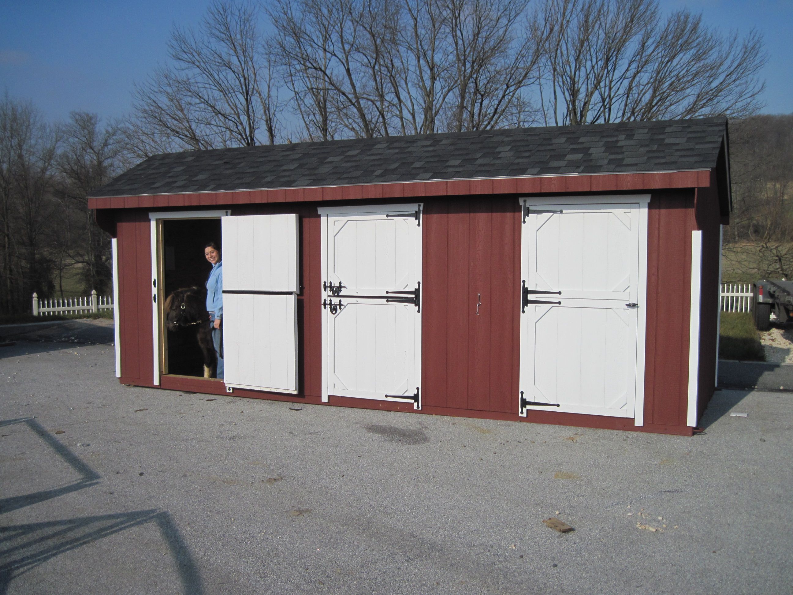 Miniature Horse Barn