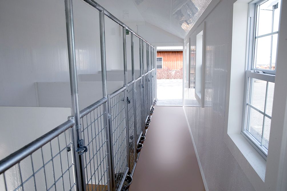 12x22 Kennel Interior
