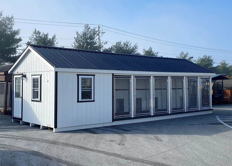 Commercial Dog Kennel