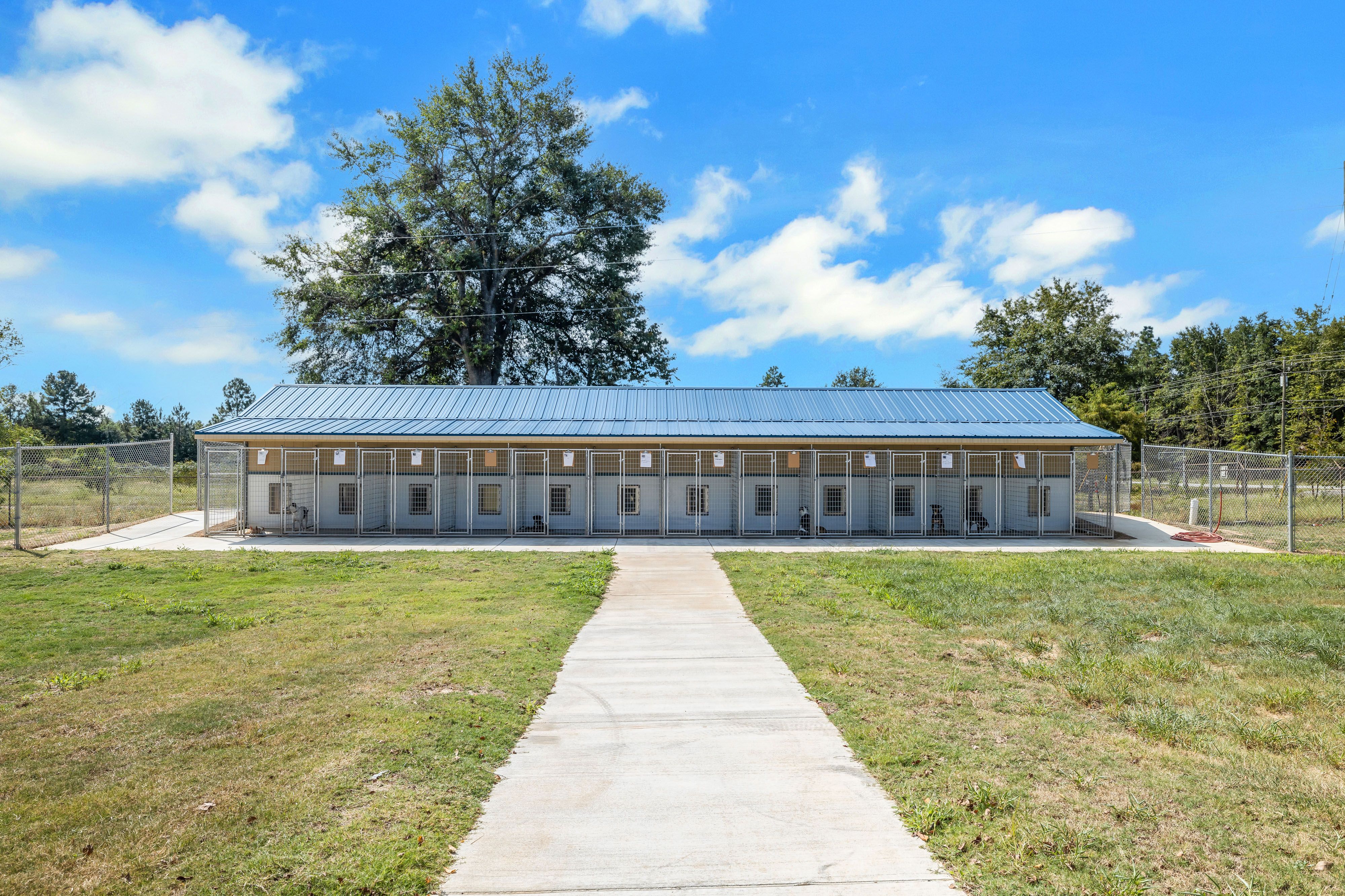 20x60 Commercial Kennel