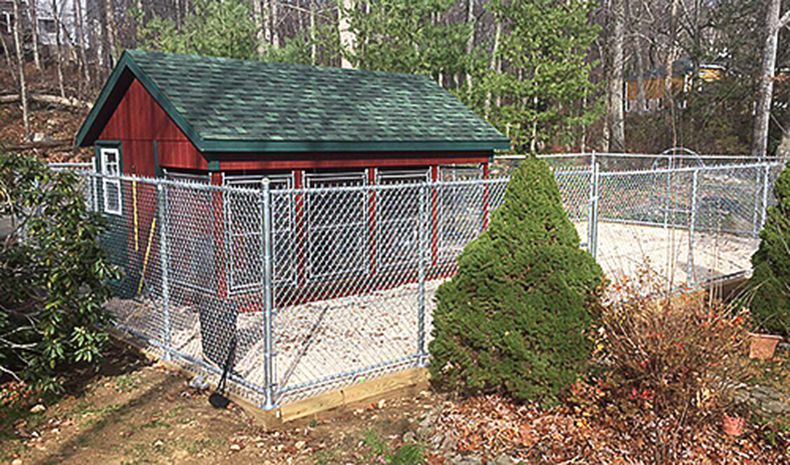 Commercial Dog Kennel
